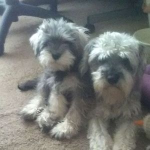 Meet your Posher, Wendy